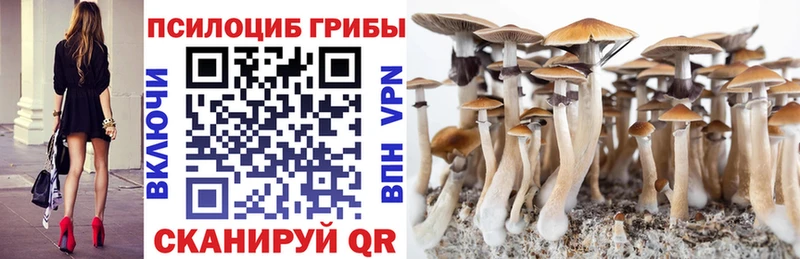 Купить закладки  Строитель  Псилоцибиновые грибы Magic Shrooms 